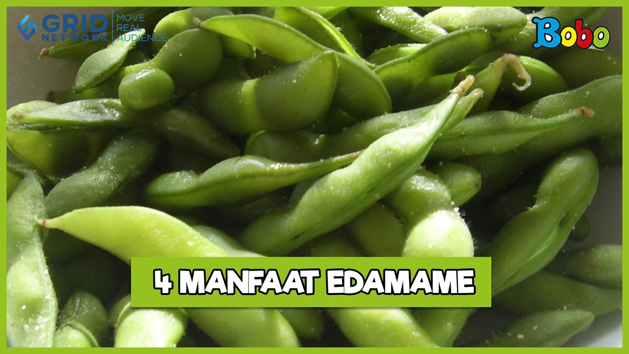 Fakta Menarik - Manfaat Edamame Rebus untuk Kesehatan