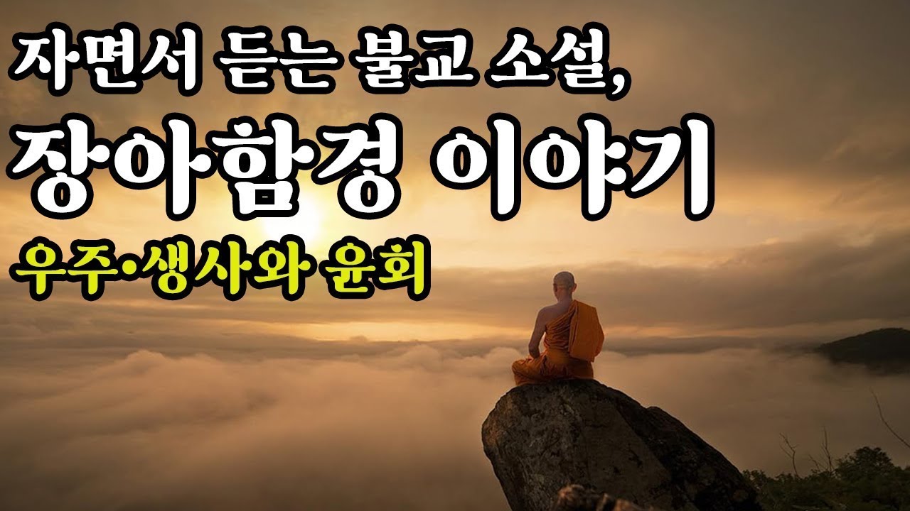 - 장아함경 이야기ㅣ우주와 인간의 본질ㅣ생사와 윤회ㅣ자면서 듣는 불교 소설ㅣ부처님 말씀