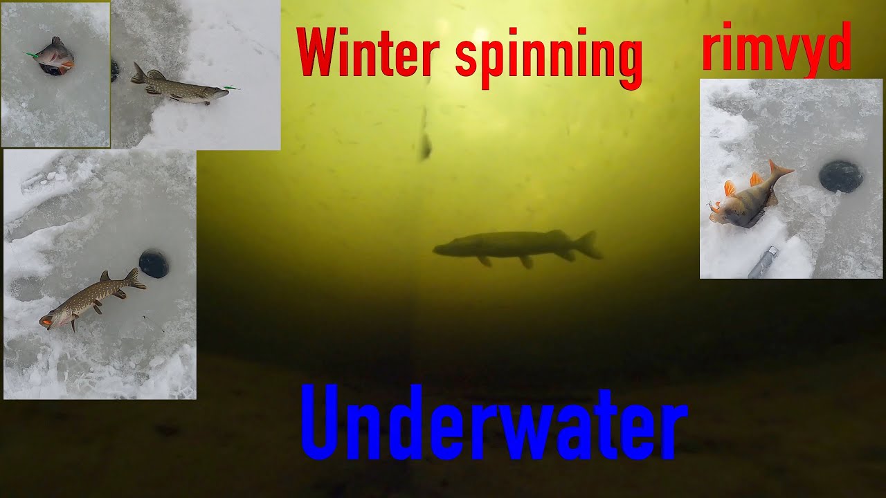 St.Croix Mojo Ice Rod works great!