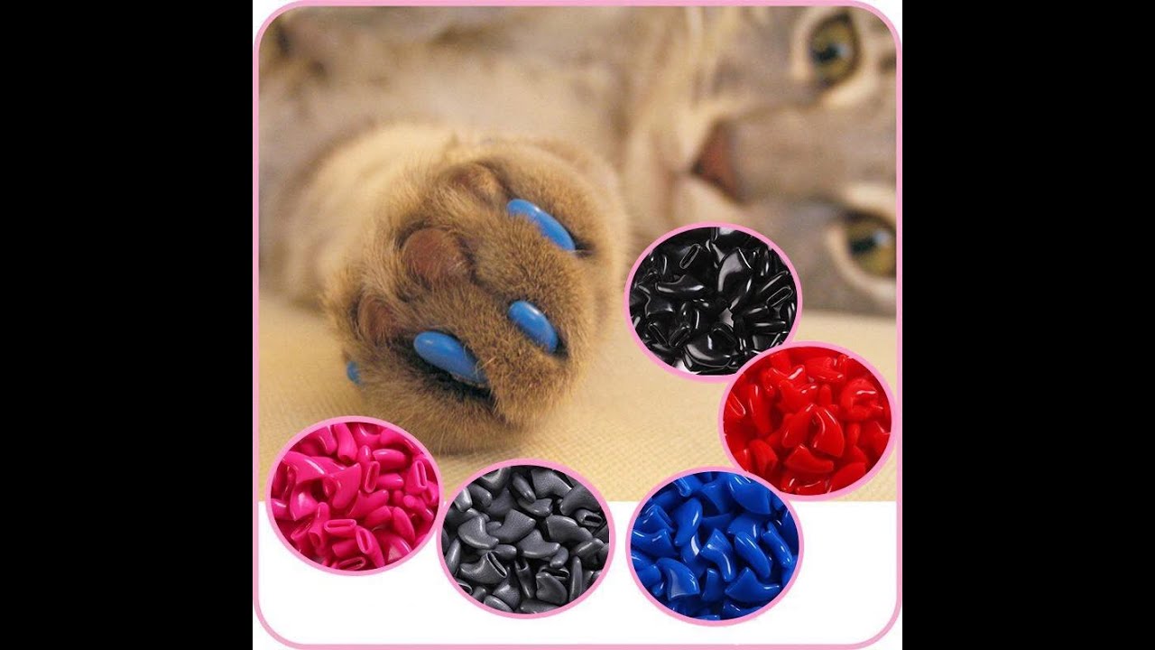 Cat Nail Caps (Alternative to declawing and scratching)