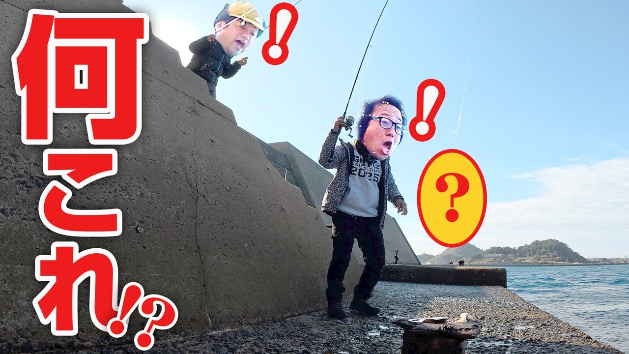 想定外!?堤防の足元で超高級魚が釣れた!!