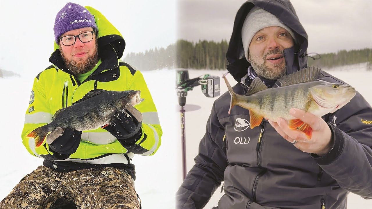 Ahvenen pilkintää Suvaksella - Jasu Pelti - 3 päivän pilkkireissu - Ahvenen kalastus