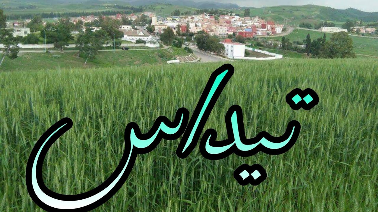TIDDAS   تيداس