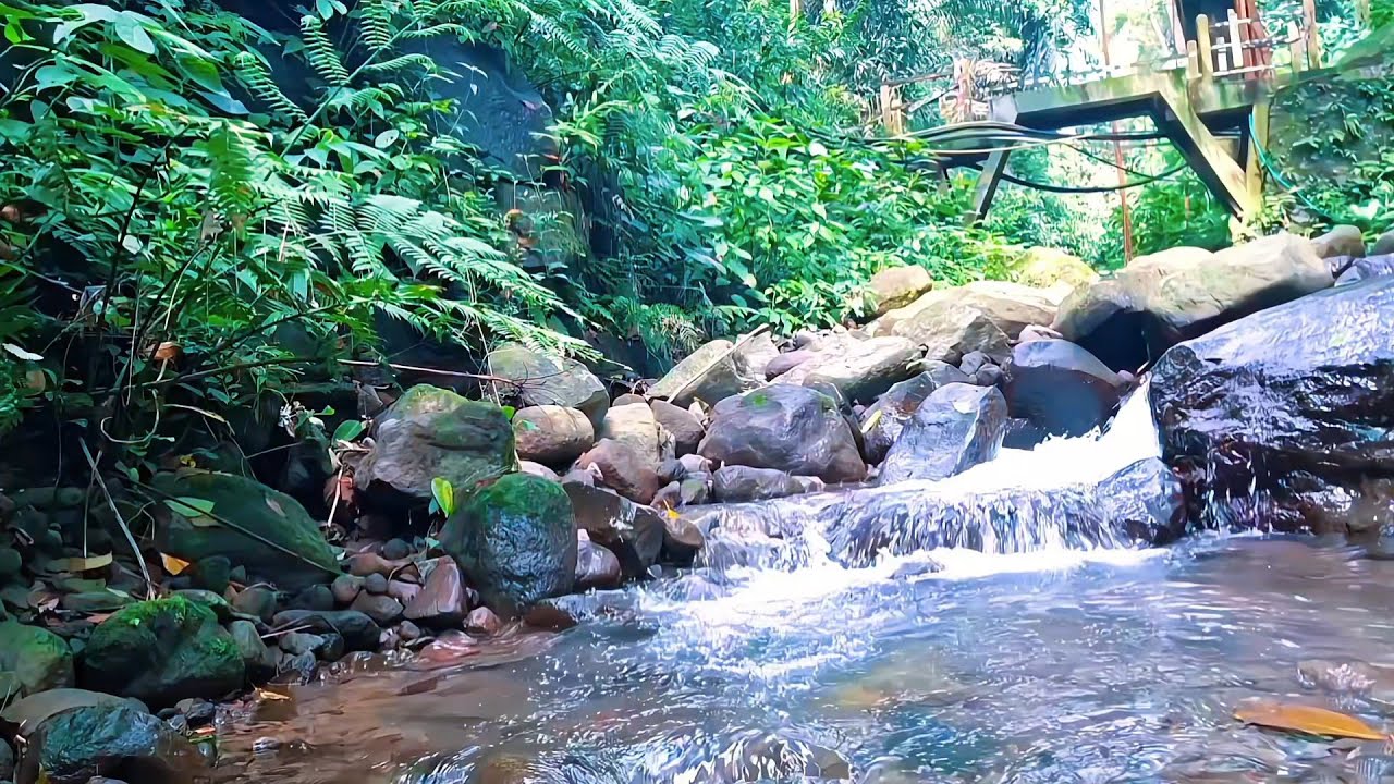 Natural River Sounds for Sleep Therapy