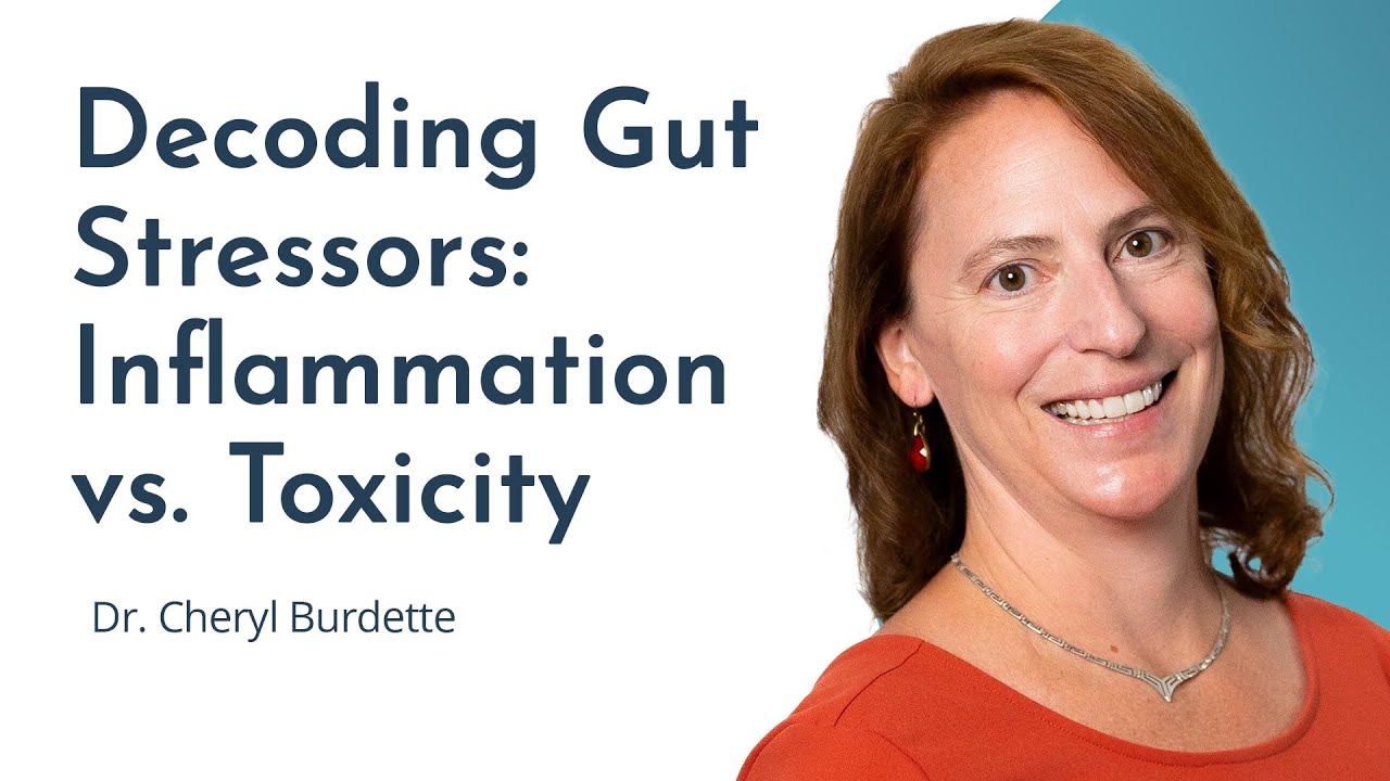 How Inflammation & Toxicity Stress The Gut
