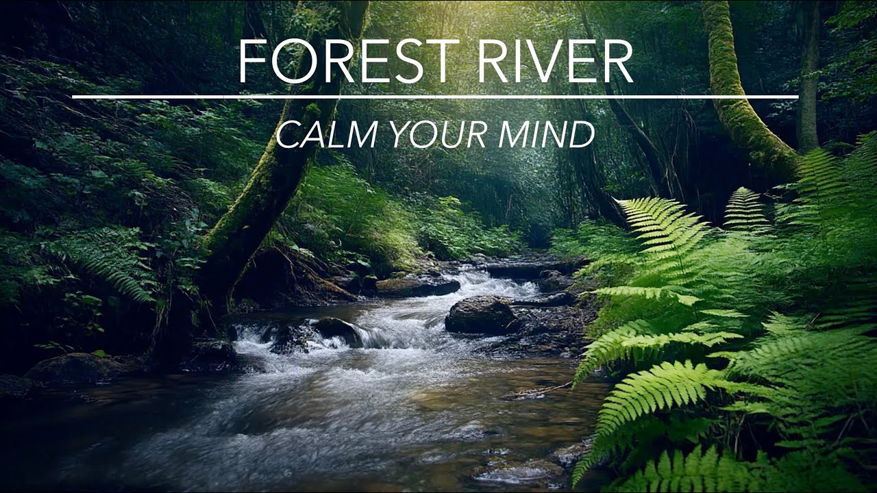 🌊 Peaceful Forest River Sounds 🌿 | Natural Water Ambience for Sleep & Relaxation