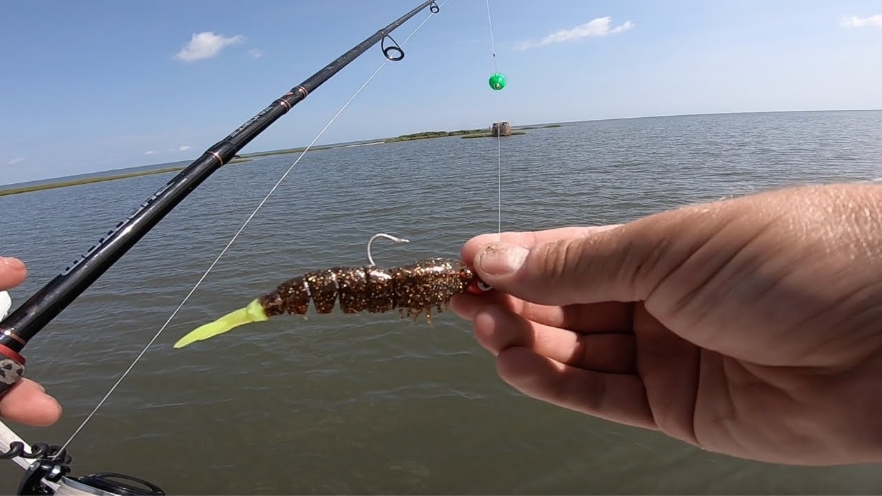 Fishing with POPPING CORK and SHRIMP for Redfish ft How To + Redfish Sushi