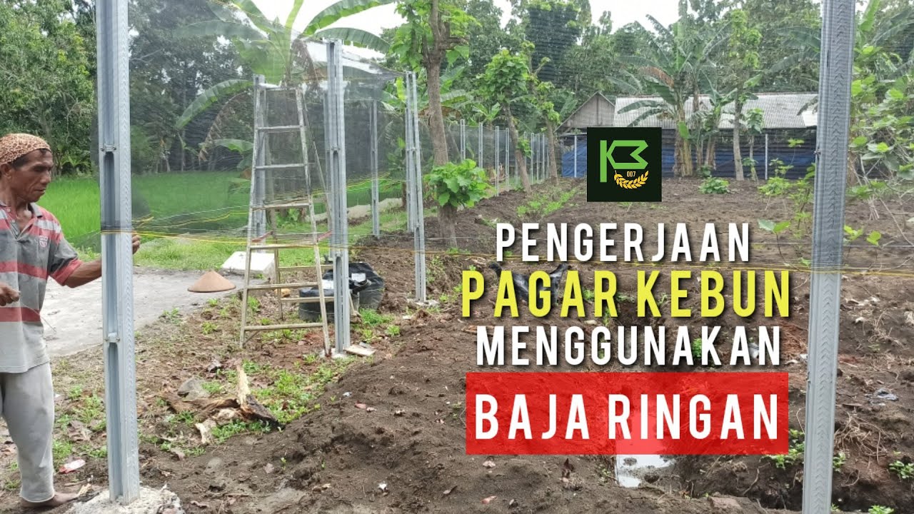Proses Pembuatan Pagar Kebun dengan Baja Ringan & Waring