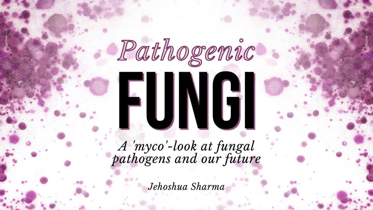 Pathogenic Fungi: A 'myco'-look at fungal pathogens and our future | Jehoshua Sharma