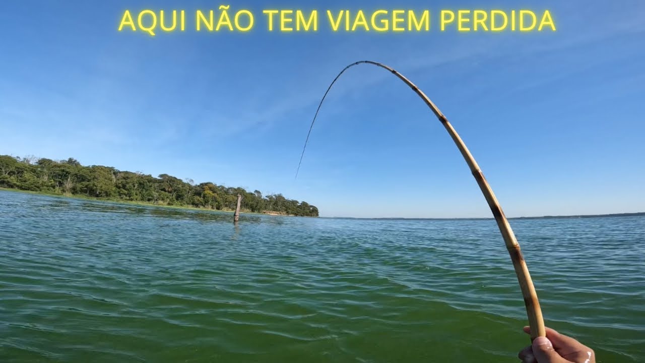 Pescaria de tilápia no rio Tietê, essa isca é técnica as tilápia não resistem   #pescaria