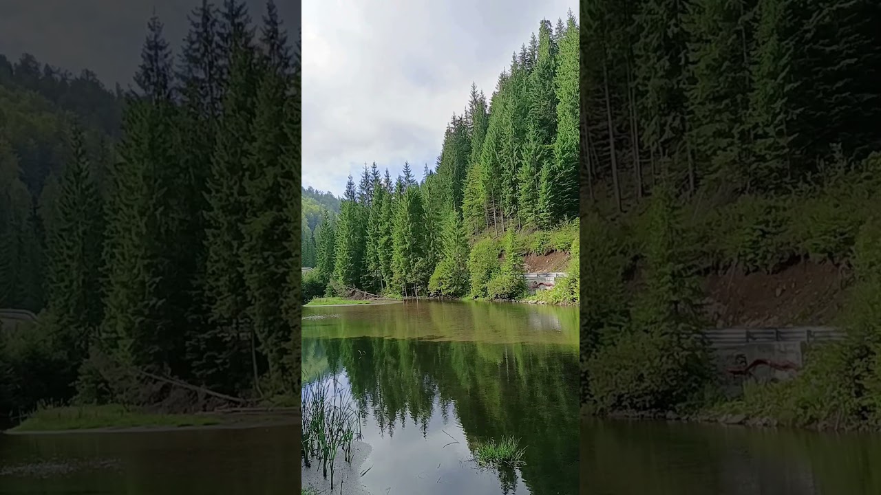 🌿✨ Conte Zumma Domein – Die Magie der Natur in Bildern 🌞🍃🌺