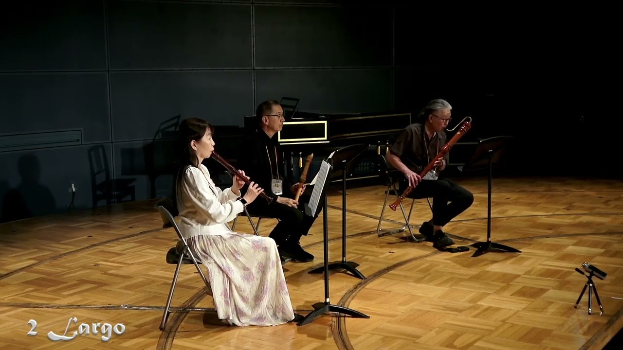 Vivaldi Concerto in G minor RV 103 (Recorder trio)