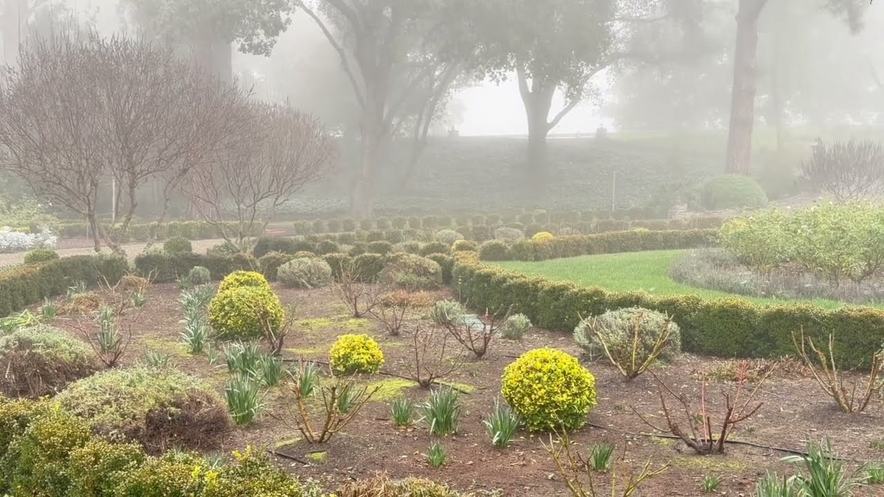 Circle Parterre Rose Garden: Day 1 of Winter Cleanup | Ep.03