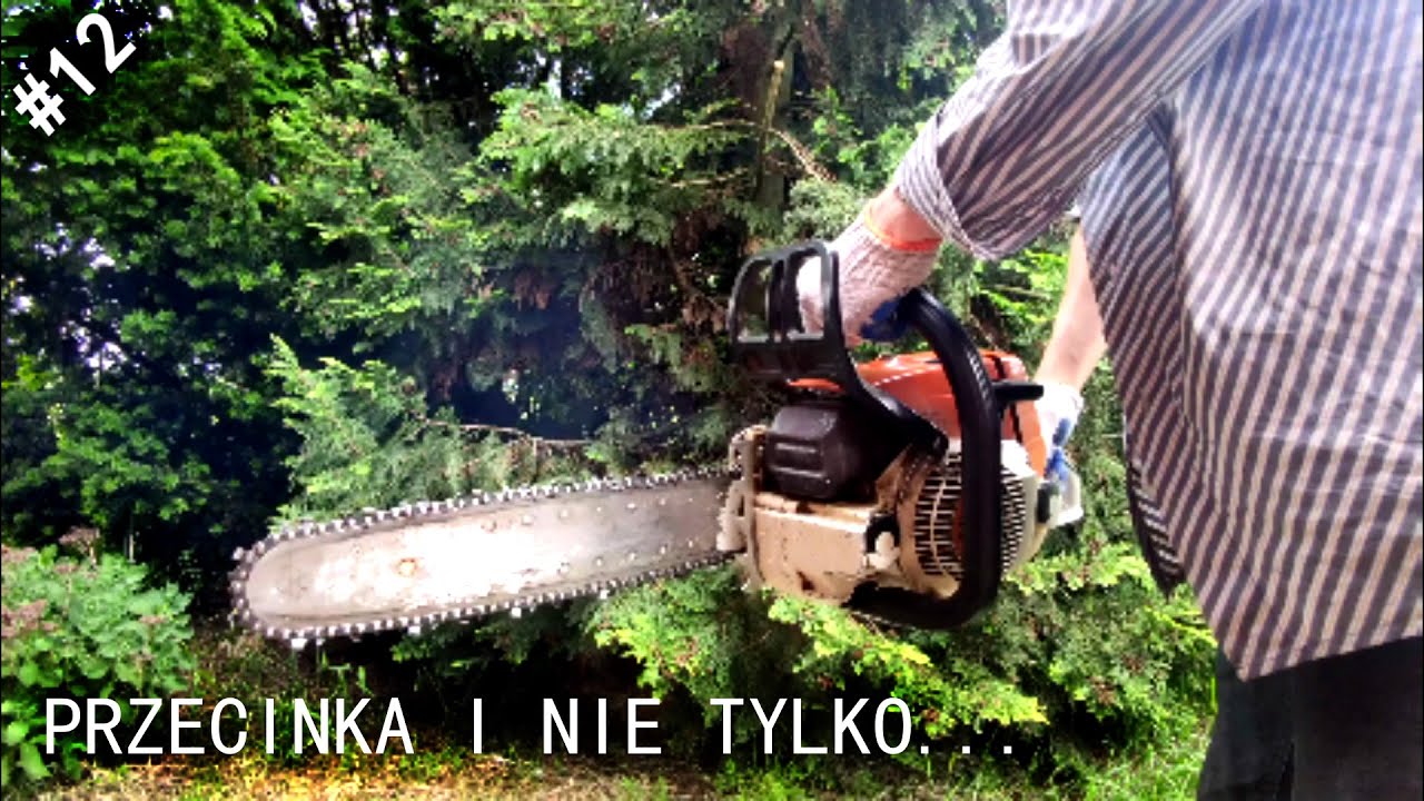 Siedlisko - reanimacja odc.12 