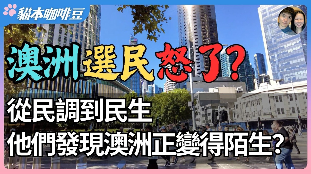2026年澳洲政治要变天了？工党和联盟党同时失分，紧急削减燃油税，推出国家燃油安全计划 | 澳洲普通人开始失去耐心，用选票发泄愤怒？| 澳洲与新西兰移民生活深度分享 | 猫本咖啡豆
