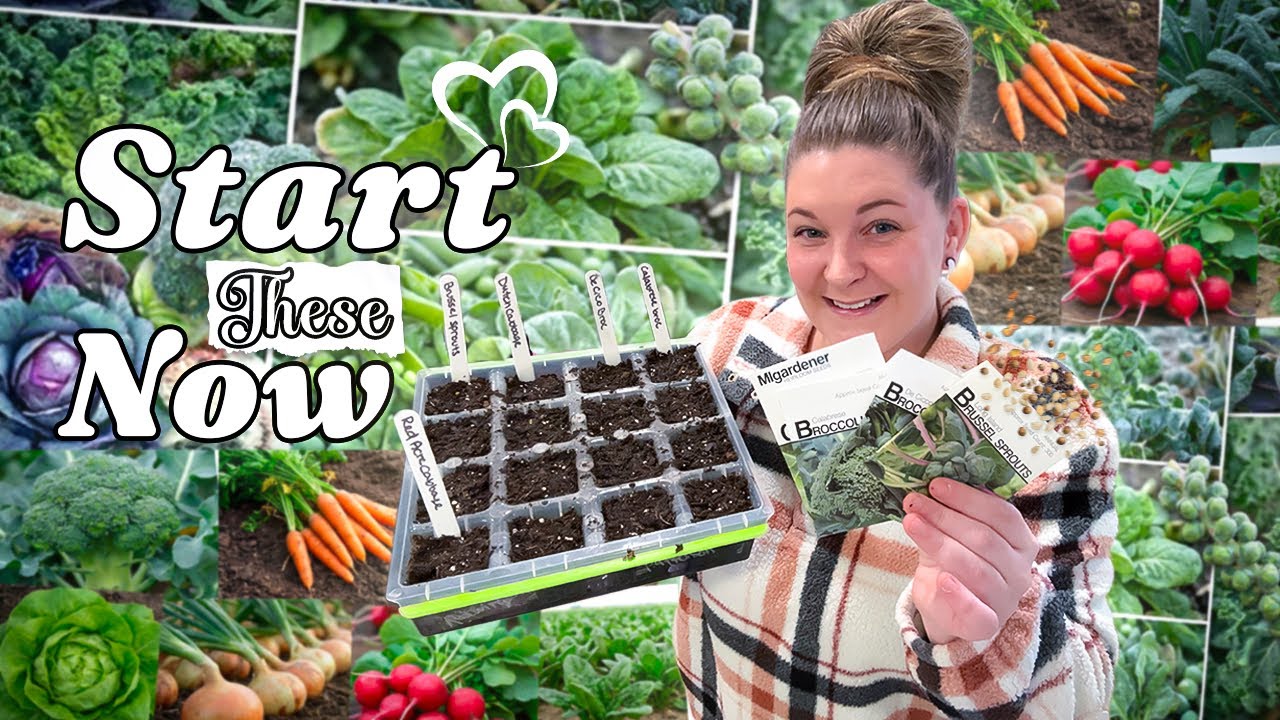 February Seed Starting Guide 🌱 Cold Weather Crops & More 