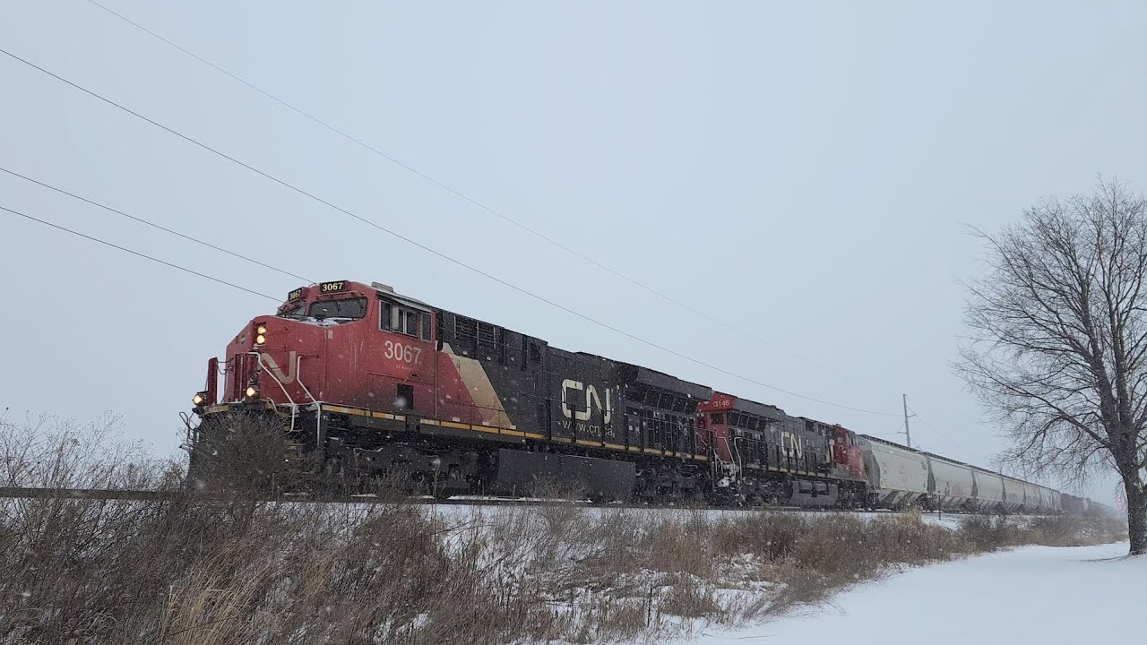 Canadian National  -  Westbound Freight Train    21 Jan 26