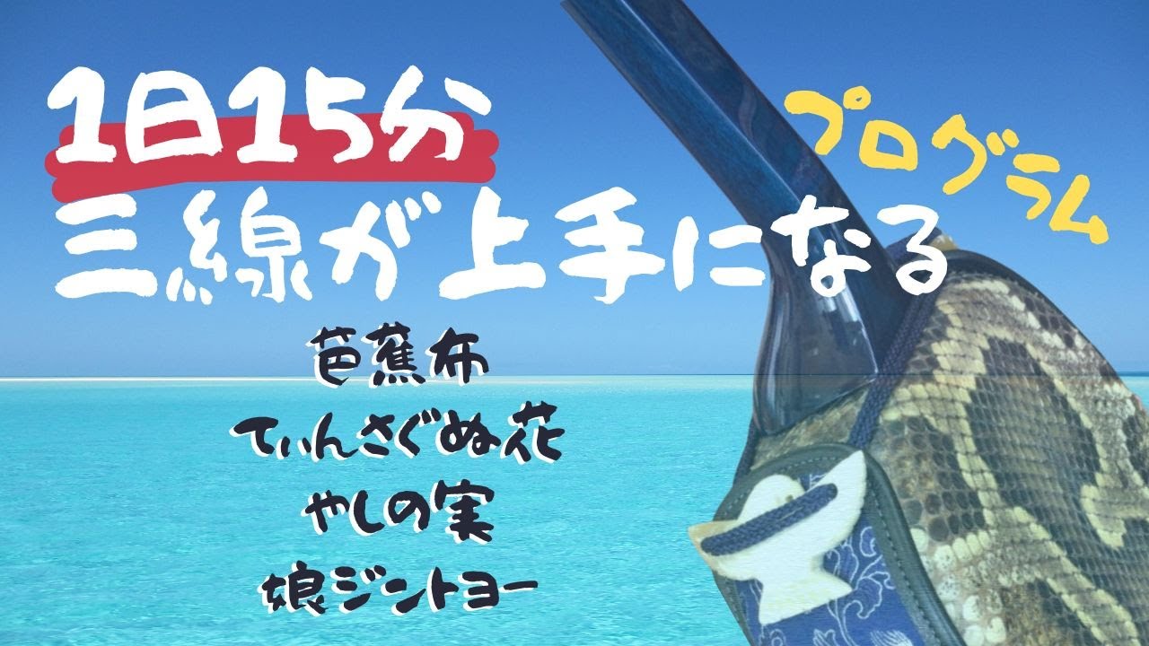 【初心者向け・デカ文字工工四】１日１５分の練習で確実に三線が上達します！工工四付きだから無理なく練習ができます♪