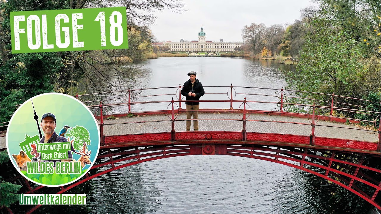 Wildes Berlin: Unterwegs mit Derk Ehlert, Folge 18 - Schlosspark Charlottenburg
