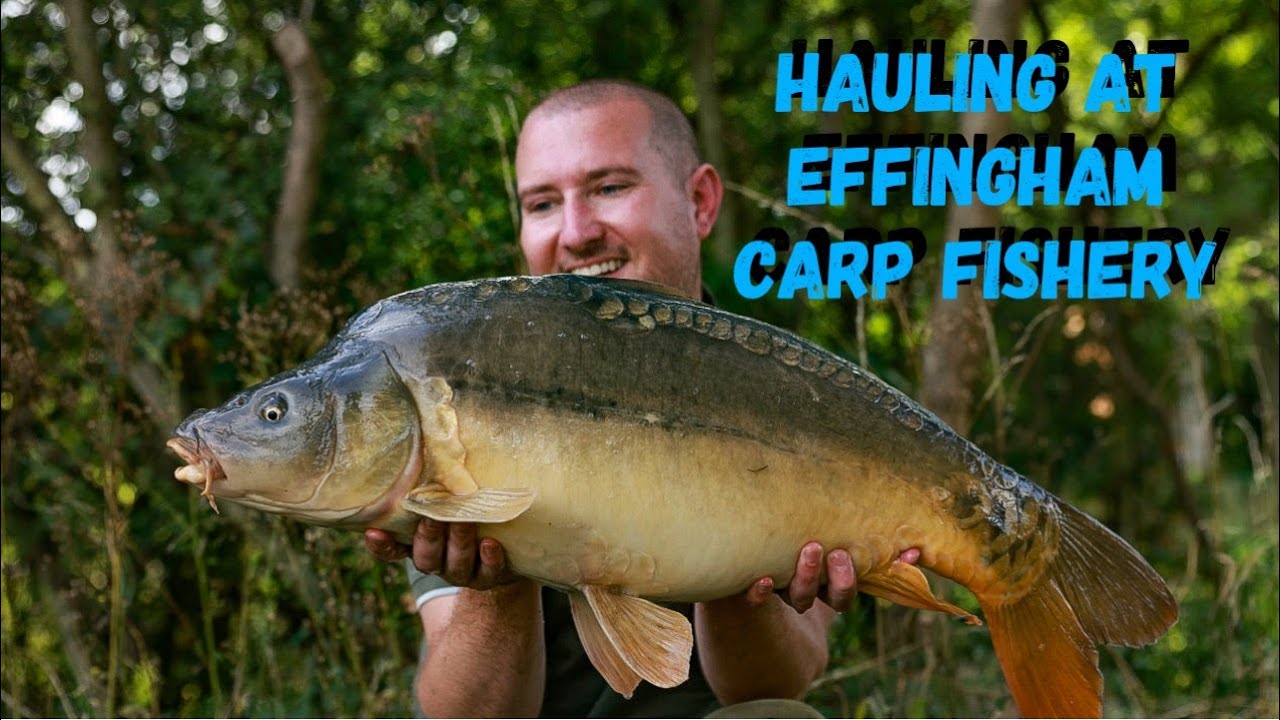 Effingham Carp Fishery | Surrey #carpfishing