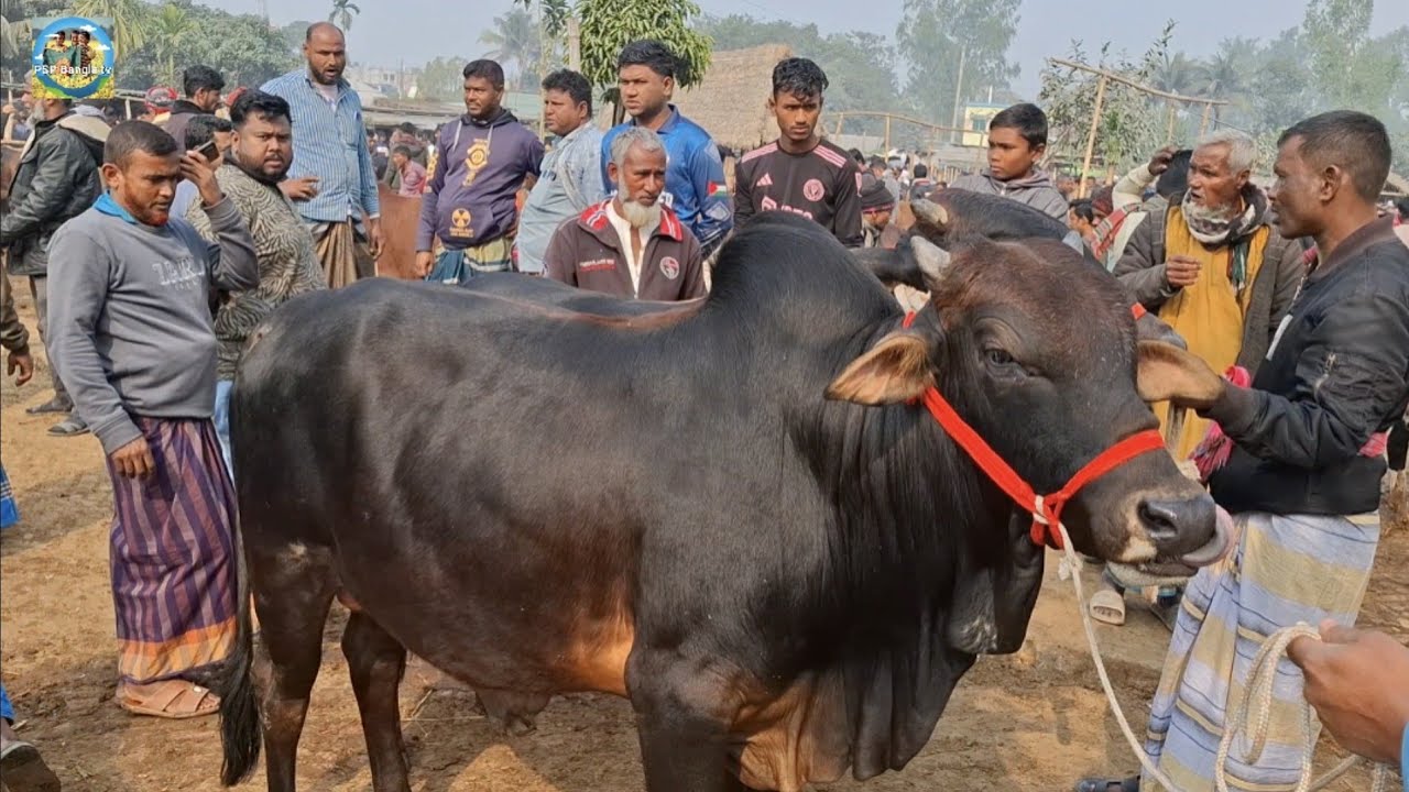 @ সোমবার ২৬ জানু