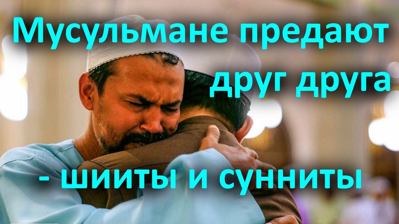 Мусульмане предают друг друга   шииты и сунниты