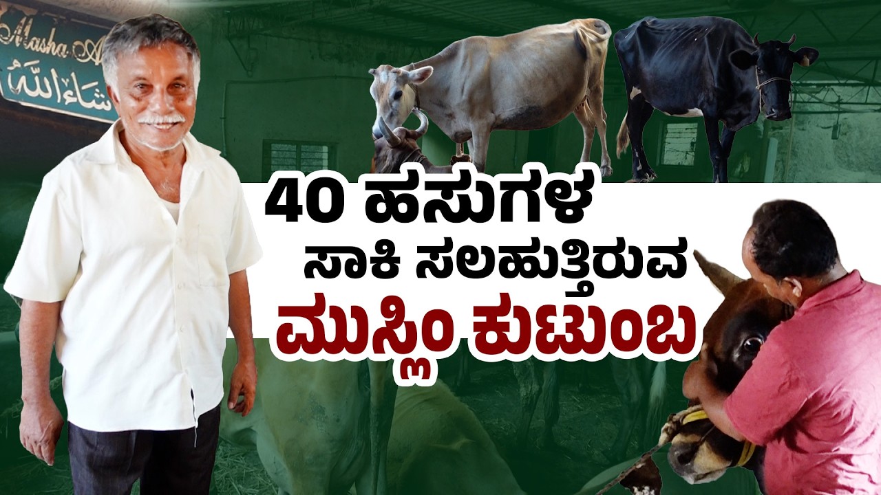 ಮುಸ್ಲಿಂ ಕುಟುಂಬದ ಹೈನುಗಾರಿಕೆ ಸಾಧನೆ | Mangaluru Muslim Family’s 40 Cow Success | Udayavani