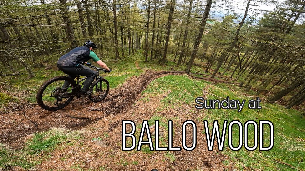Ballo Woods MTB - Perth - Scotland - 04/23