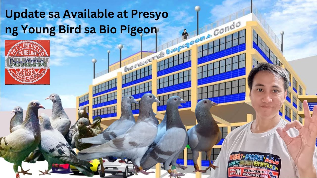 Update sa Available at Presyo ng Young Bird na kalapati sa Bio Research Bio Pigeon