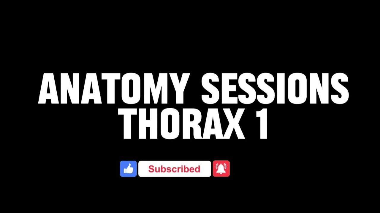 Thorax Part 1