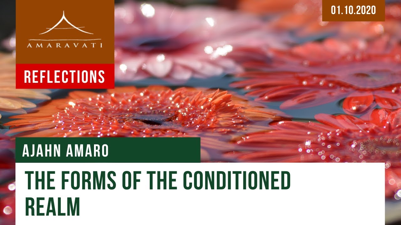 The Forms of the Conditioned Realm | Dhamma Reflection | 01.10.2020