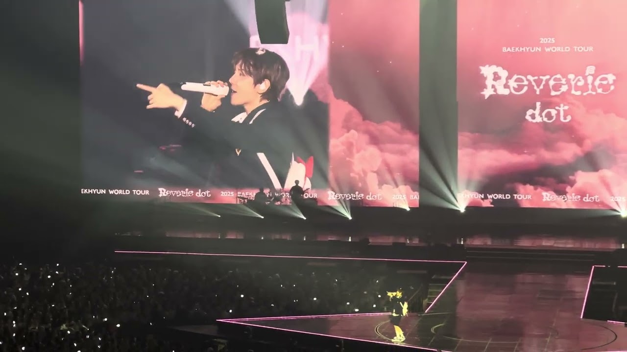 [260104] ❤️No Problem❤️2026 BAEKHYUN WORLD TOUR 'Reverie [dot]' | 백현 월드투어 레버리 닷 앙콘 막콘 큥콘