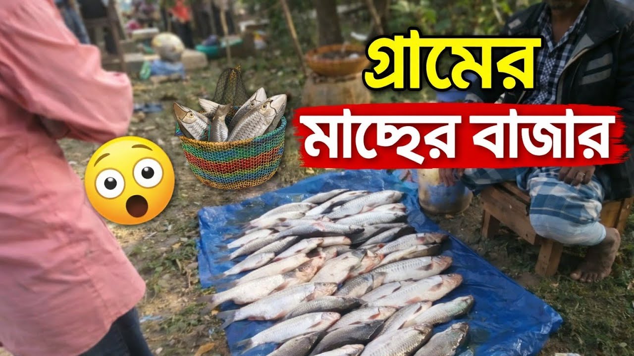 গ্রামের আসল মাছের বাজার 🐟দাম, দরদাম আর মানুষের ভিড়—সব একদম বাস্তব দৃশ্য!