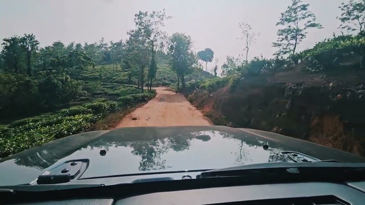 7km on & mild off-road drive to Wild Planet NILGIRIS Luxury Jungle Resort on a Mahindra Thar RWD