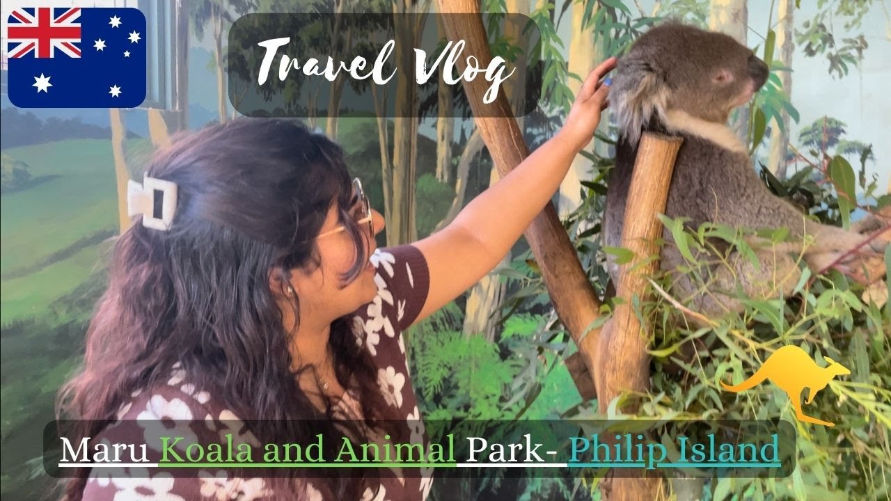 Koala park tour ❤️