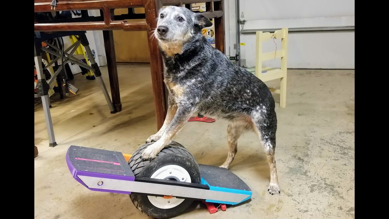 $250 3d printed DIY Onewheel!