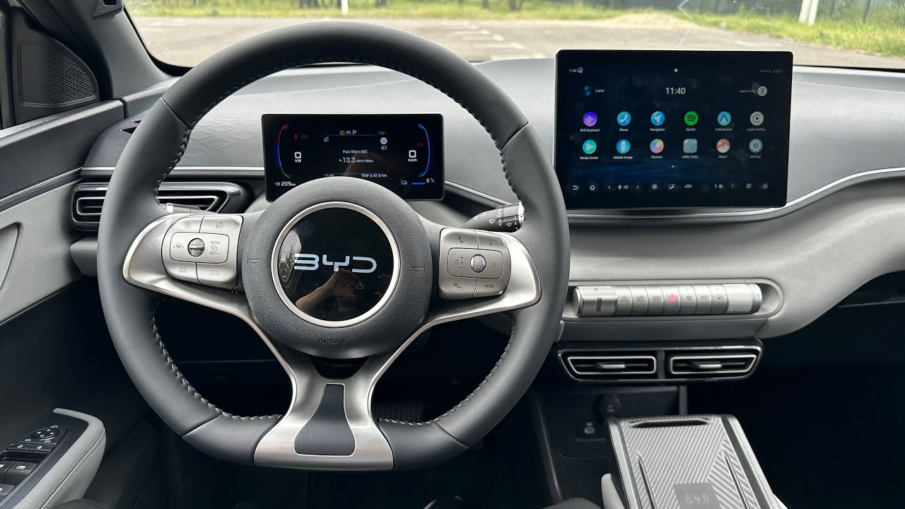 BYD Dolphin Surf 2025 Multimedia System Review