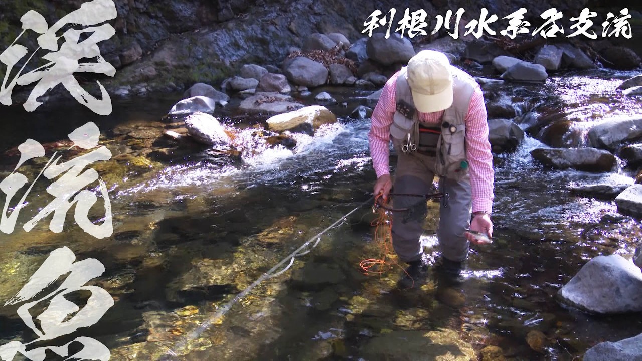 利根川水系を里見栄正が釣り歩く。美しい渓流魚との出会いはあるのか 『フライギャラリー』【釣りビジョン】