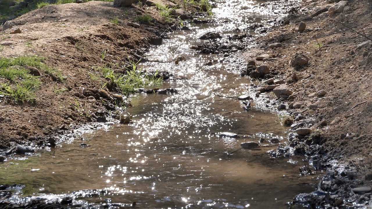 Inauguración del tramo de acequia de Aynadamar restaurada