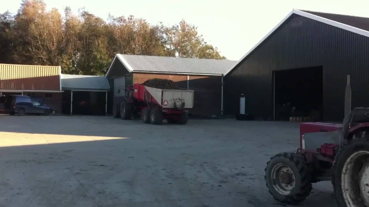 Case IH 1056 en Beco 1400 zijn aardappelen aant rijden bij francis in noordbeemster