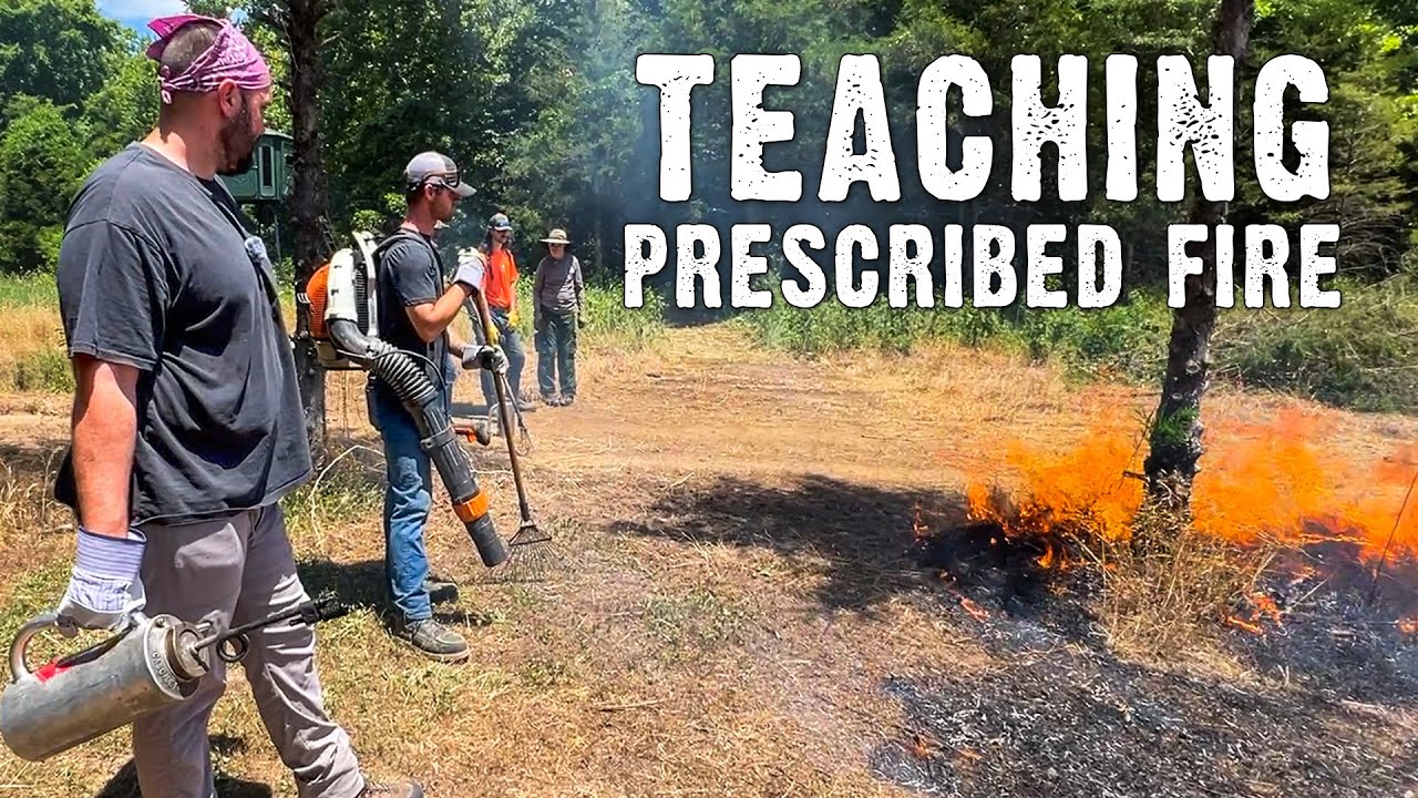 The Role of Fire in Habitat Management: A Lesson for Interns