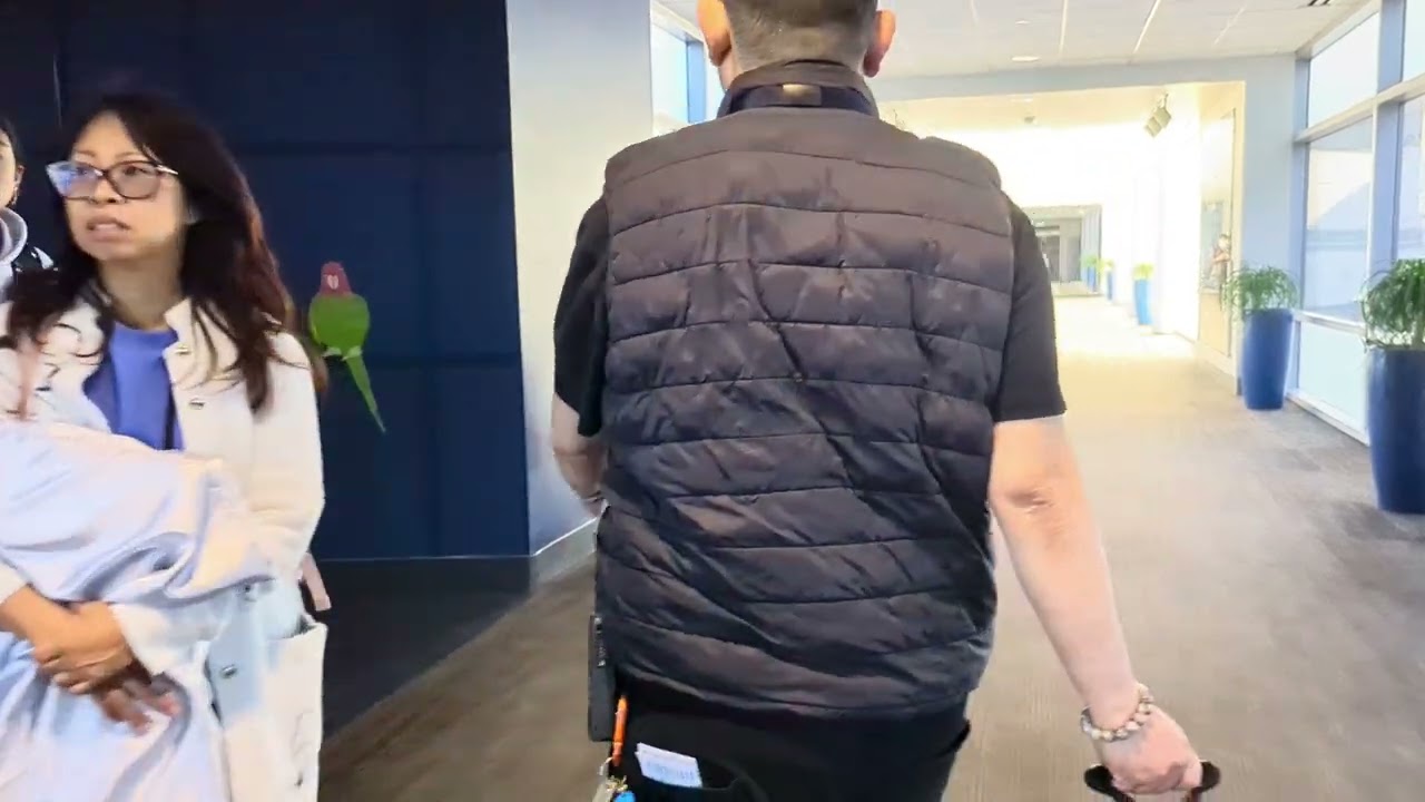 San Francisco International Airport Walking Tour (ALL Gates)