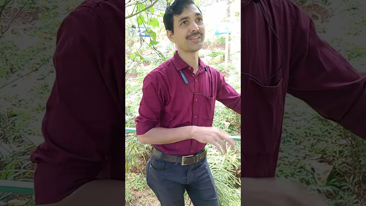 Wayanad Kerala plants