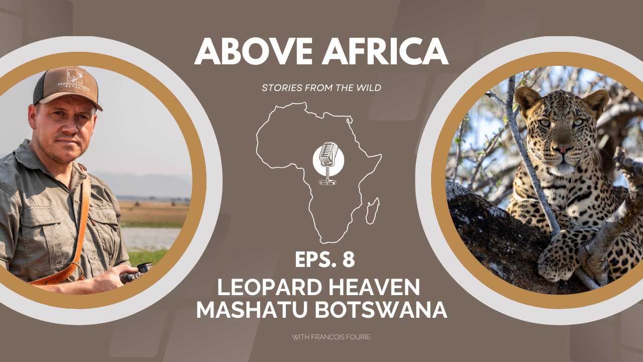 Episode 8 - Leopard Heaven MASHATU BOTSWANA