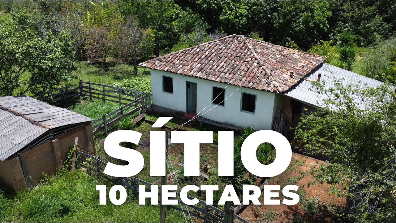 SÍTIO 10 HECTARES COM CASA, CÓRREGO, PASTO FORMADO E FÁCIL ACESSO | R$ 550 MIL