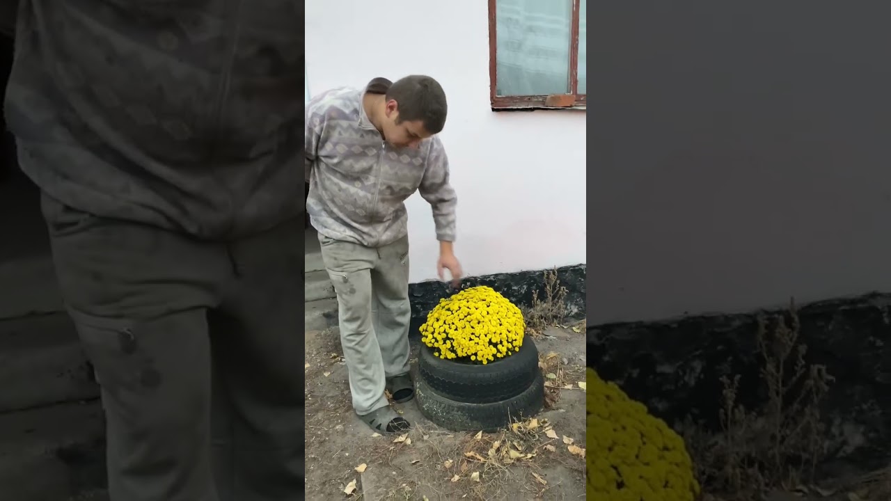 Я люблю доглядати за рослинами 