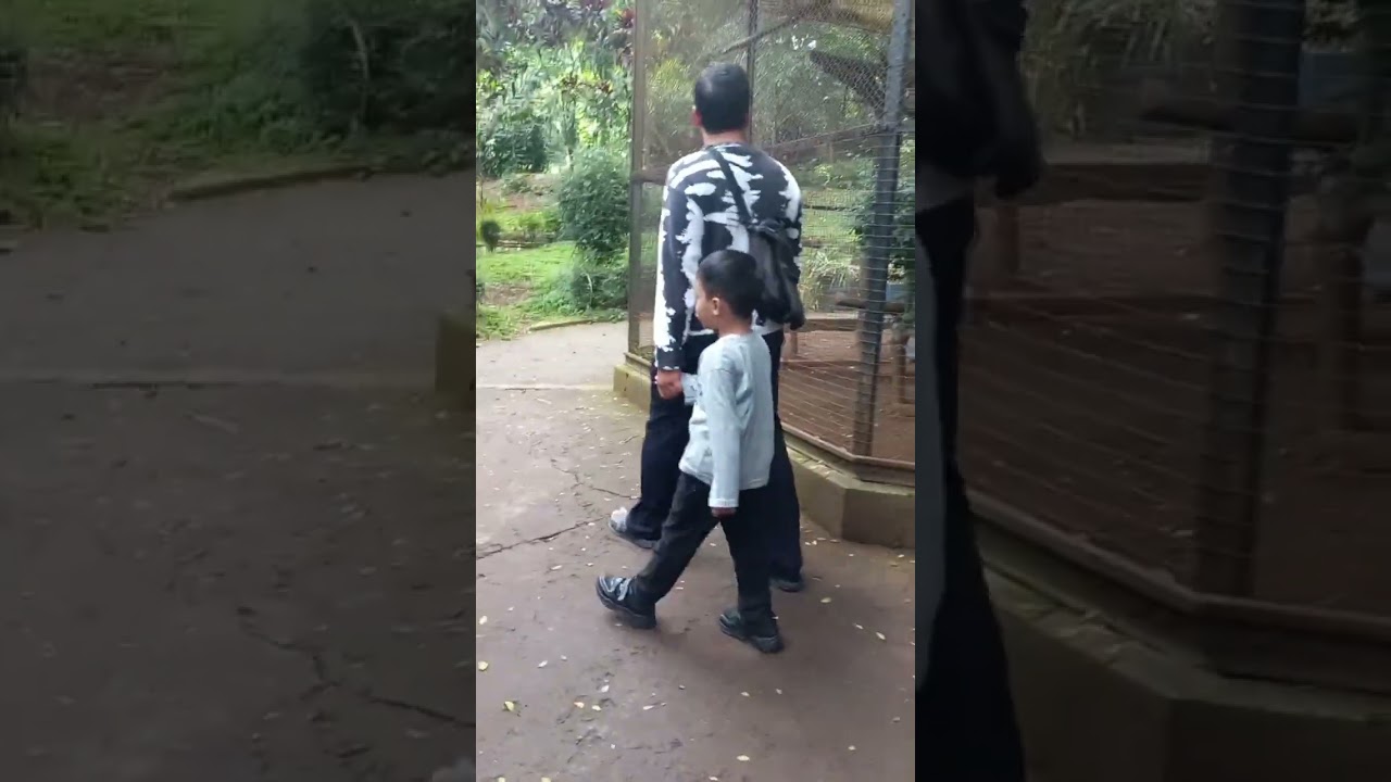 BERMAIN KE KEBUN BINATANG!!