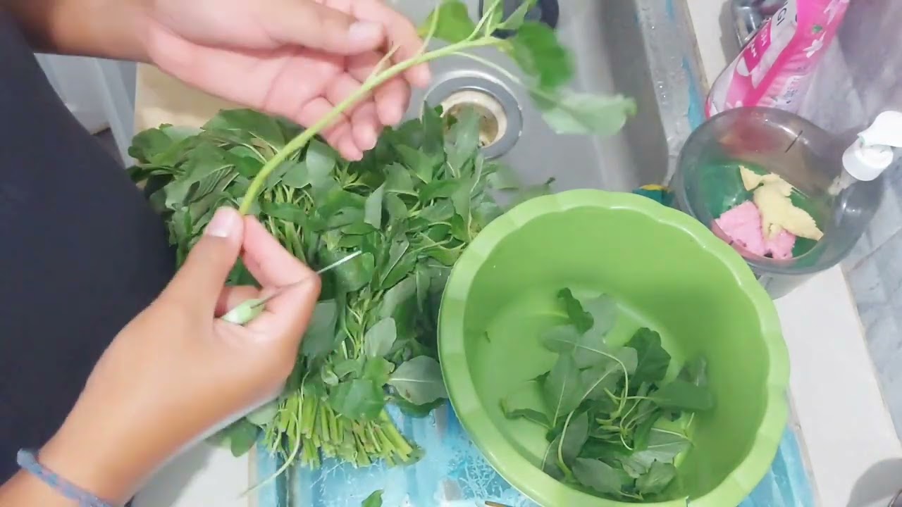 SN 09# A day in my life || Masak bayam buat seharian