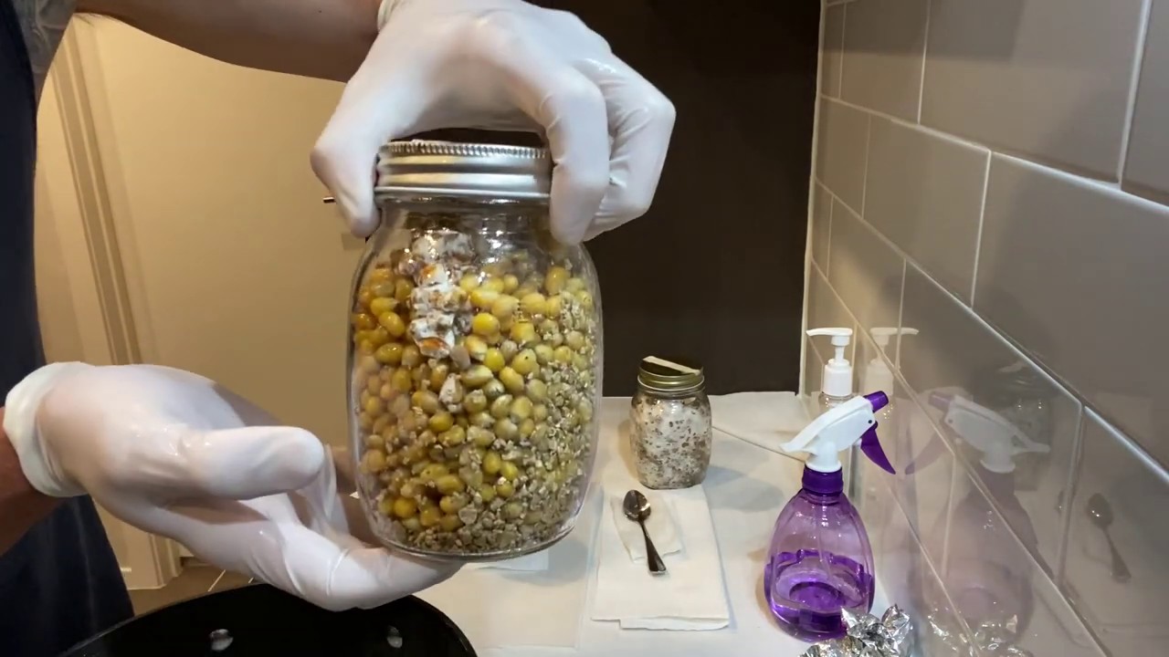 Grain to grain transfer