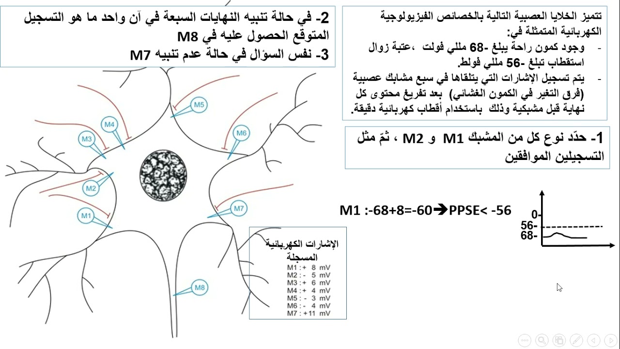 العرض29 حل تمرين مقترح في الادماج العصبي